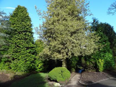 Hazlehead Park, Aberdeen