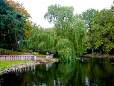 Kungsparken (King's Park)