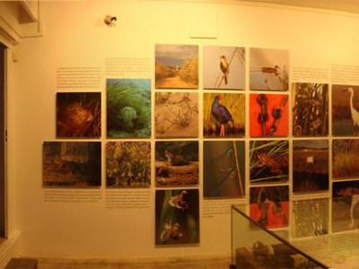 Sala de Cultura "Sa Nostra" (''Sa Nostra'' Cultural Hall), Ibiza