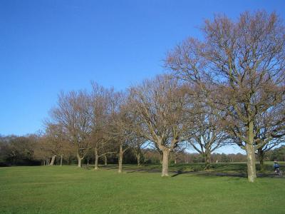 Southampton Common Park, Southampton