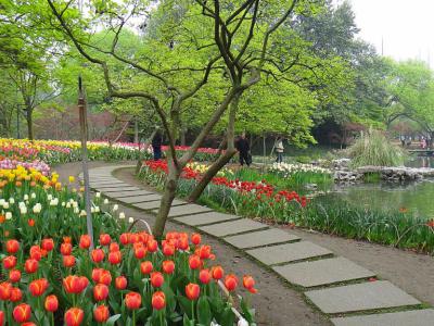 Taiziwan Park, Hangzhou