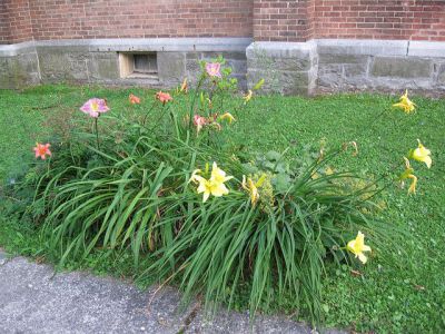 Stadthausplatz (Townhouse Square), Interlaken
