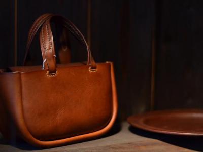 Francesco Rogani, Rome