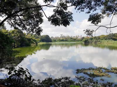 Parc de Tsarasaotra (Tsarasaotra Park), Antananarivo
