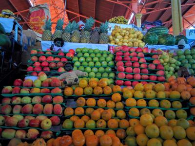 Mercado San Camilo (San Camillo Market), Arequipa