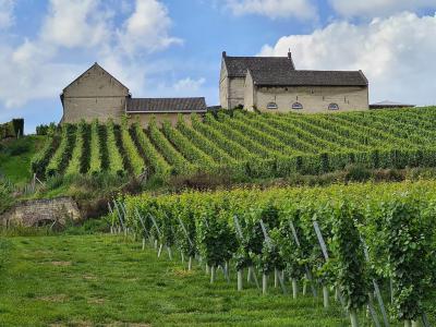 Apostlehoeve, Maastricht