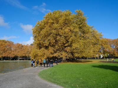 Parc Charles Bosson, Annecy