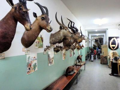 Natural History Museum, Addis Ababa