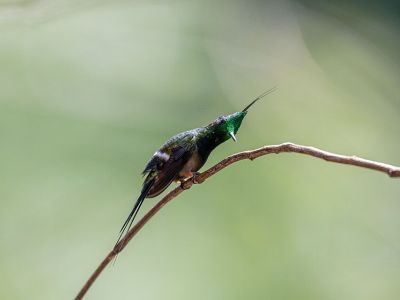 Parque Lomas de Versalles ("Hills of Versailles" Park), San Salvador