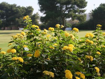 Jardin d'Essais Botaniques de Rabat (Botanical Trial Garden of Rabat), Rabat