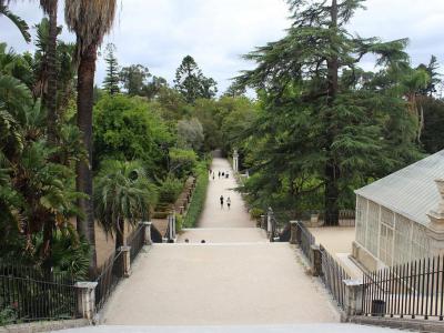 Jardin Botanique (Botanical Gardens), Coimbra