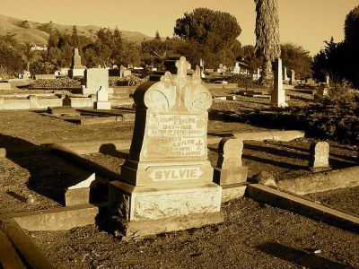 The Conchada Cemetery, Coimbra
