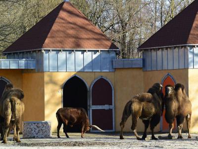 Aachener Tierpark (Aachen Animal Park - Euregiozoo), Aachen