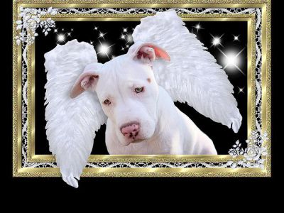 Hillcrest Gallery, Little Rock