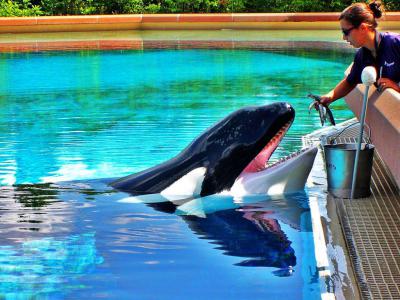 Marineland, Niagara Falls
