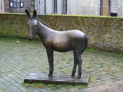 Ezelke (Donkey)