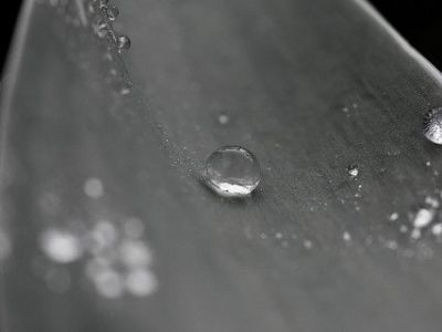 Oasis Waterpark, Palm Springs