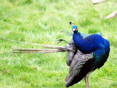 The Village Farm Weverkeshof, Eindhoven