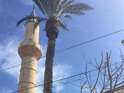 Turunçlu Fethiye Mosque, Nicosia