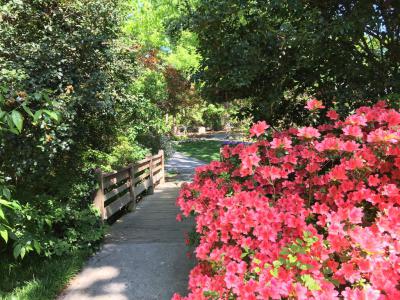 Greensboro Arboretum, Greensboro