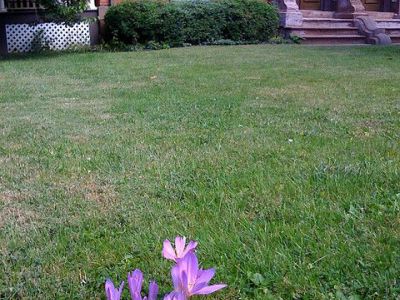 Building at 1430 Asylum Avenue, Hartford