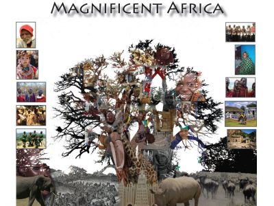 Baobab Cultural Center, Rochester