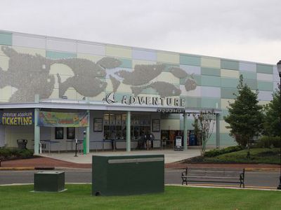 Adventure Aquarium