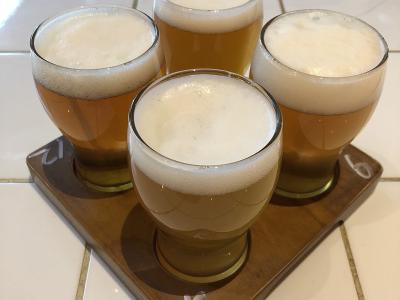 Shelter Brewing Company, Saskatoon