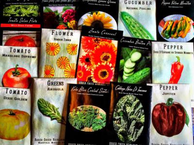 The Better Good, Saskatoon