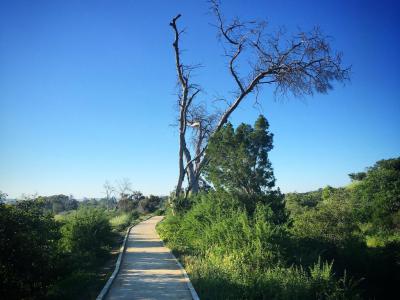 Salt Lake Park Patticheio, Larnaca