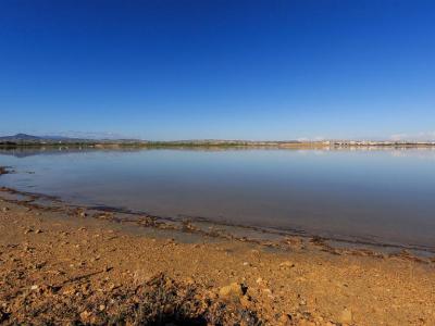 Larnaca Salt Lake, Larnaca