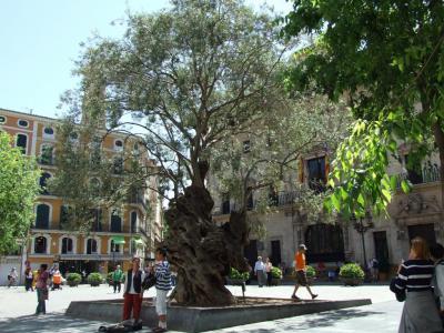 Placa de Cort (Court Square)