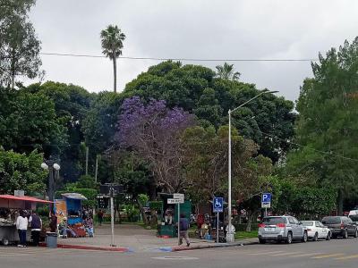 Parque Teniente Guerrero, Tijuana