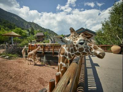 Cheyenne Mountain Zoo, Colorado Springs