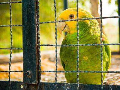 Parque Morelos (Morelos Park), Tijuana