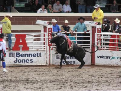 ProRodeo Hall of Fame and Museum, Colorado Springs