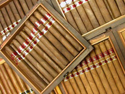 Wolsdorff Tobacco, Bonn