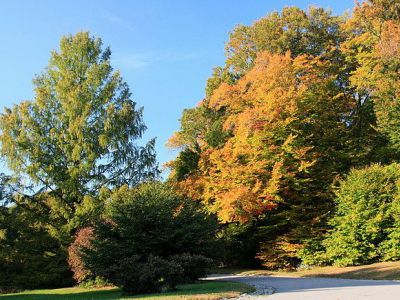 Arnold Arboretum, Boston