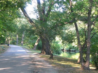 Olmsted Park, Boston