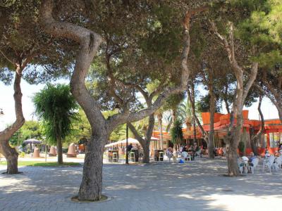San Pedro Springs Park, San Antonio