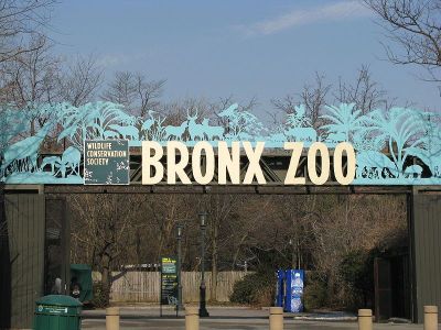 Bronx Zoo, New York