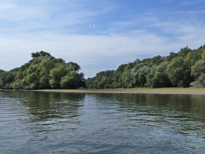 Danube Island, Vienna