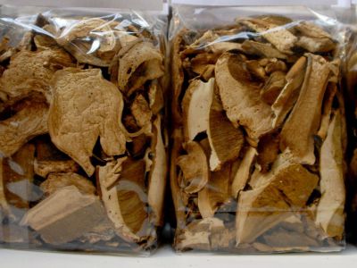 Far West Fungi, San Francisco