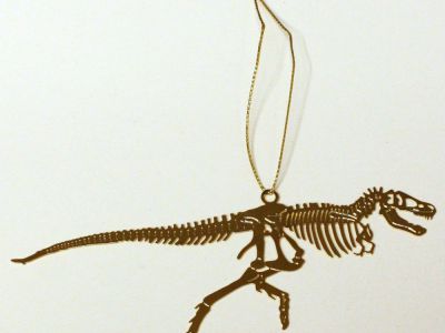 The Field Museum, Chicago