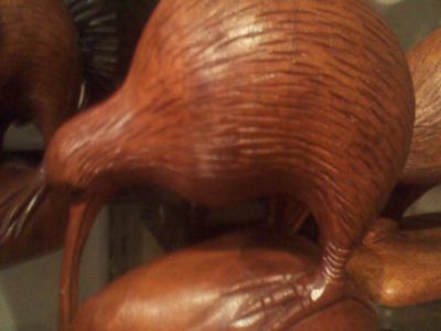 Auckland Zoo Shop, Auckland