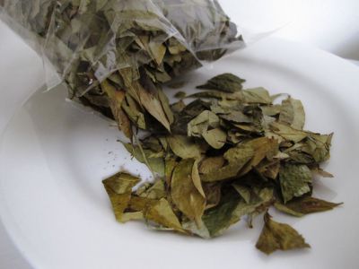 Bio Plaza Tienda Y Café (Bio Plaza Shop And Cafe), Bogota