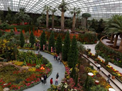 Flower Dome, Singapore