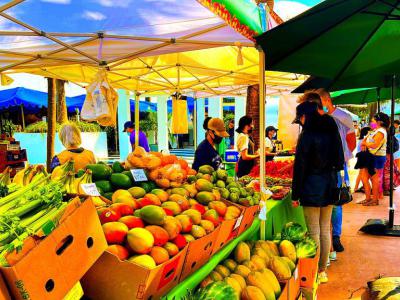 Lincoln Road Farmers’ Market, Miami