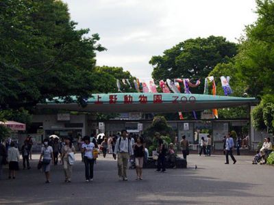 Ueno Zoo, Tokyo