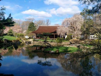 Shofuso Japanese House And Garden Pine Breeze Villa Philadelphia